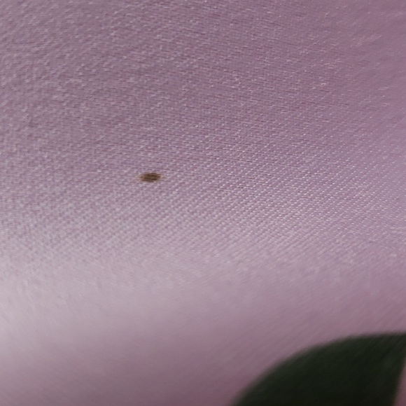 Soho Apparel | Women's Floral Self-Tie Robe Sz M - Picture 9 of 9